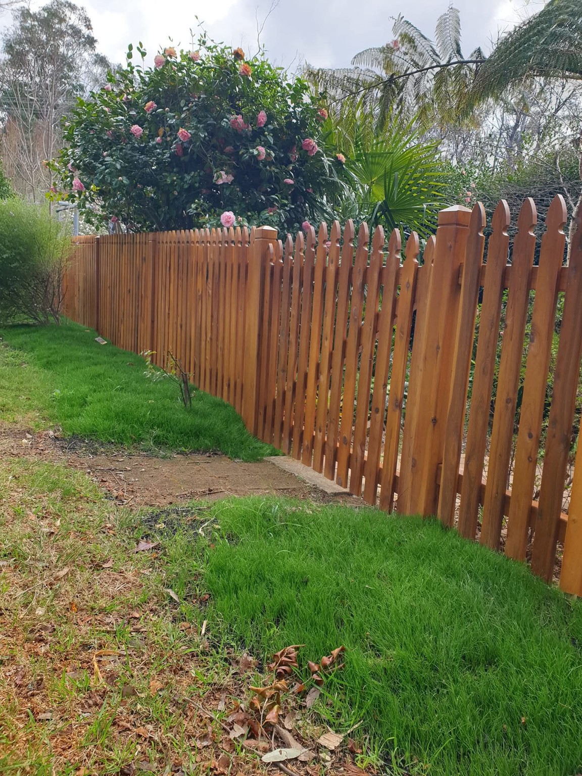 Detailed timber gate